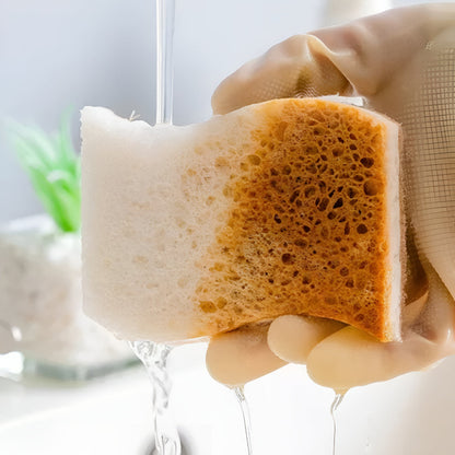 Kohana Coconut Fiber & Wood Pulp Dish Sponge, Natural Kitchen Scrub Sponges (1-Pack)